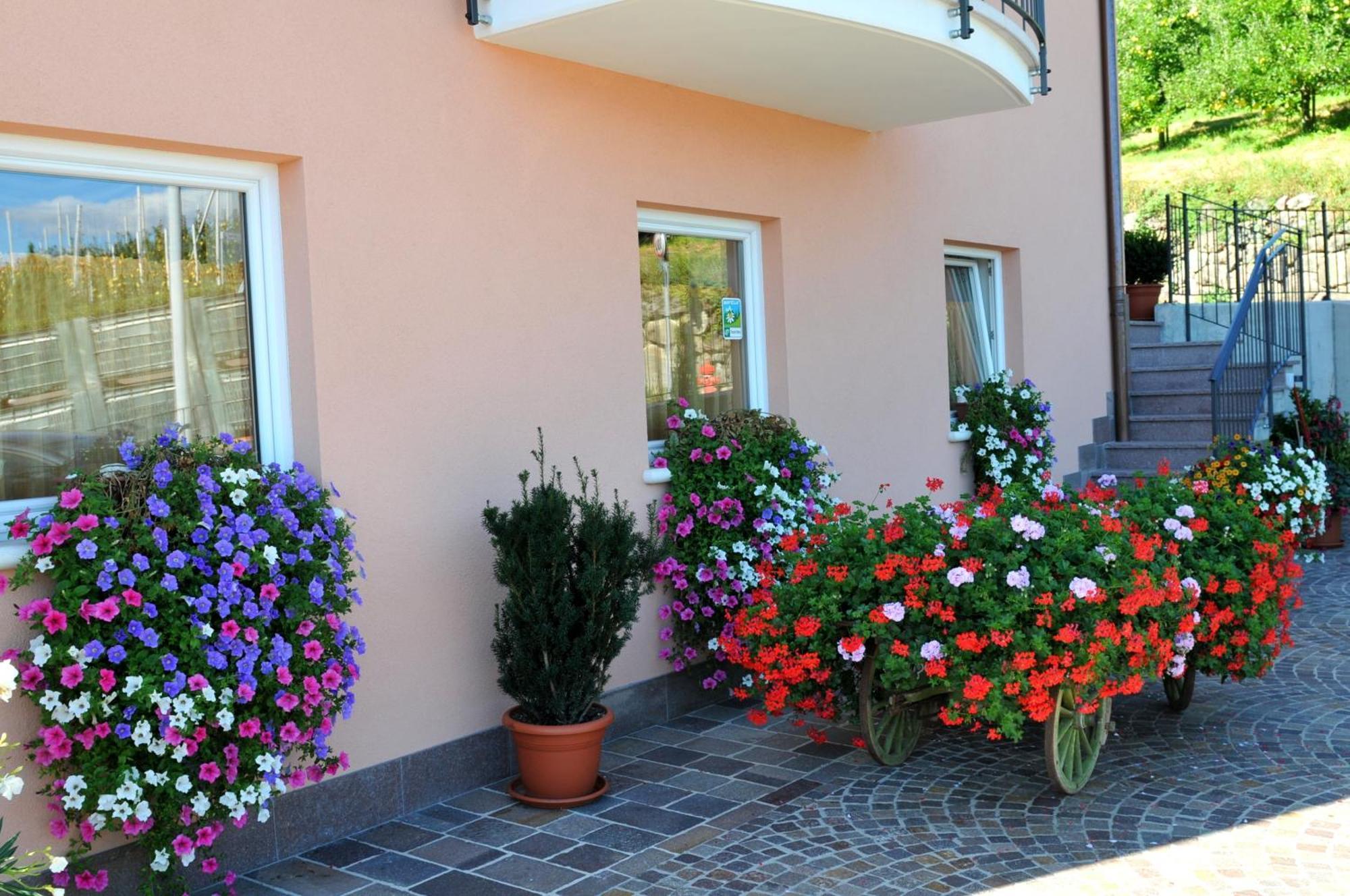 Agritur Le Pergolette Villa Tassullo Eksteriør bilde