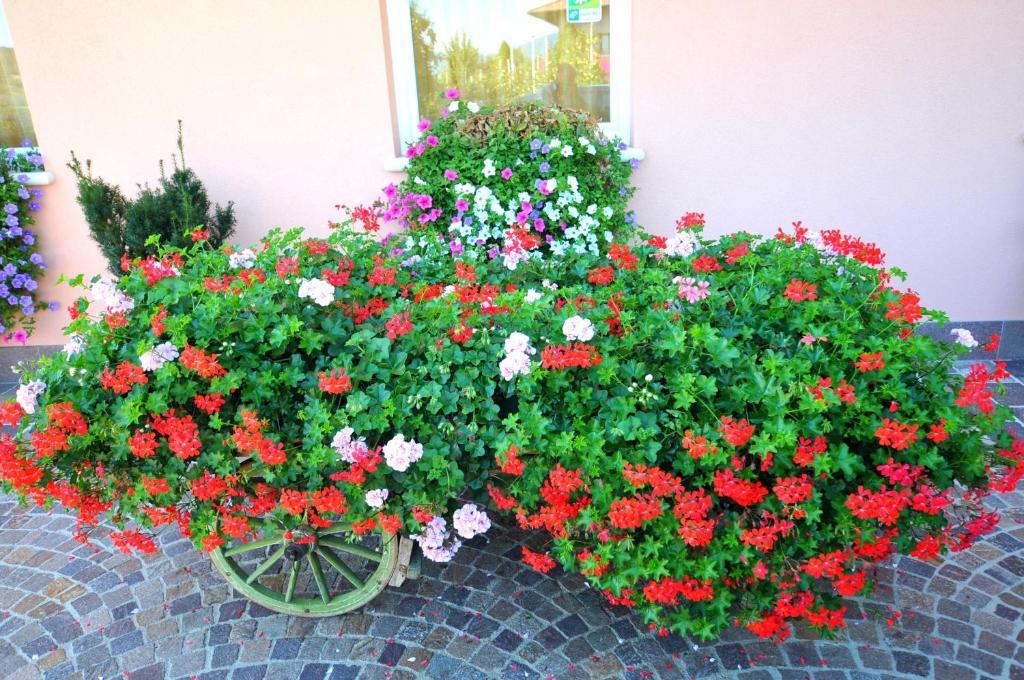 Agritur Le Pergolette Villa Tassullo Rom bilde